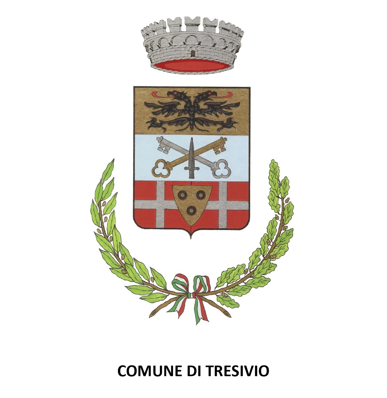 COMUNE DI TRESIVIO_pages-to-jpg-0001